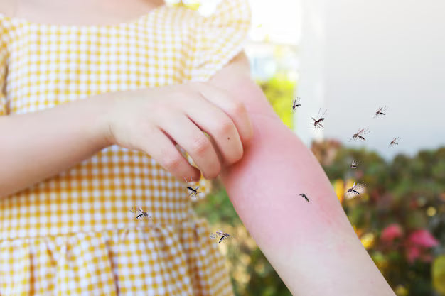 Protégez-vous Naturellement des Moustiques cet Été avec le Répulsif au Beurre de Murumuru O'méa