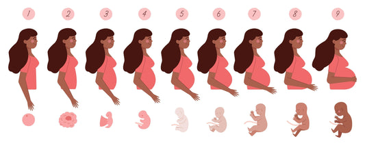 À 1 semaine de grossesse : changements du ventre et premières sensations