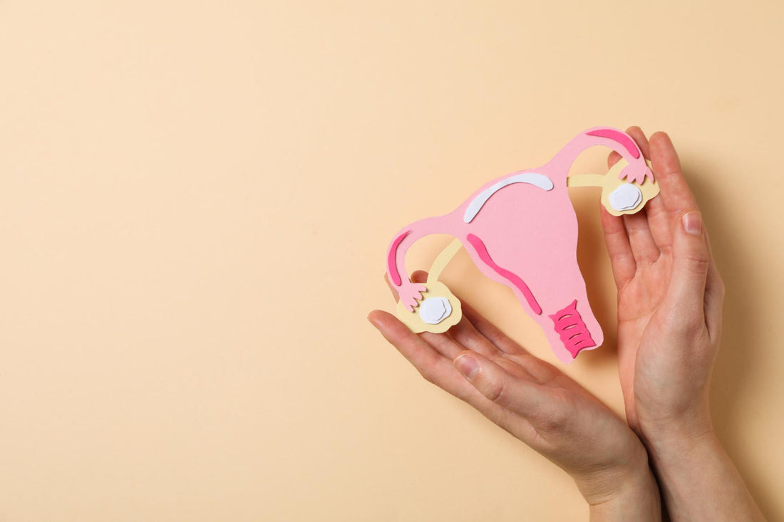 L'Ovulation : Le Cœur de Votre Cycle pour un Projet Bébé